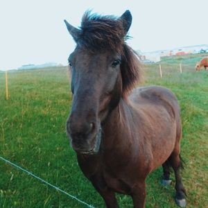 Meet your Posher, Patricia